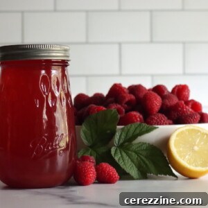 Raspberry Lemonade Concentrate Recipe: Make Ahead Drink Mix 9 Raspberry Lemonade Concentrate