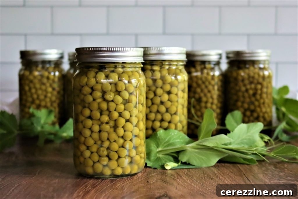 What You Can and Can’t Change in Tested Canning Recipes 12 Pressure Canning Peas