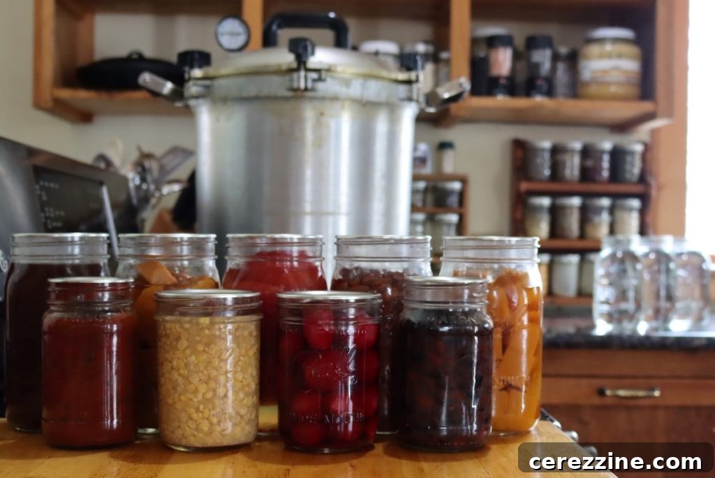 What You Can and Can’t Change in Tested Canning Recipes 3 A selection of pressure canned food. Back Row (left to right): Beef Broth, Pumpkin, Tomatoes, Pinto Beans, Sweet Potato. Front Row: Pasta Sauce, Corn, Beets, Black Beans.
