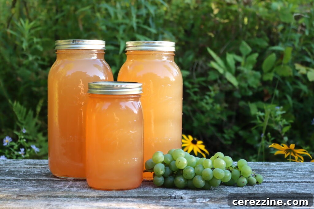 What You Can and Can’t Change in Tested Canning Recipes 5 Canning Grape Juice