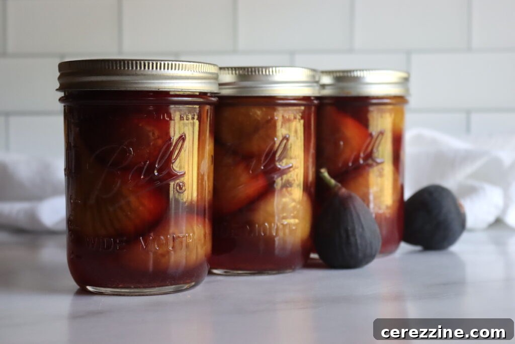 What You Can and Can’t Change in Tested Canning Recipes 6 Canning Figs