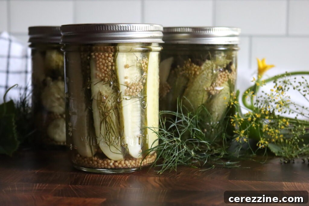 What You Can and Can’t Change in Tested Canning Recipes 10 Dill Pickle Spears