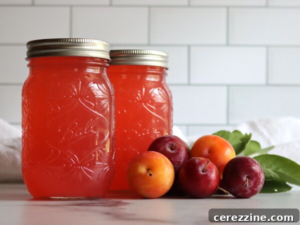 How to Make Yellow Plum Jelly: Sweet Homemade Preserves 11 Plum Lemonade Concentrate