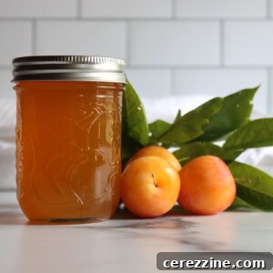 How to Make Yellow Plum Jelly: Sweet Homemade Preserves 12 Yellow Plum Jelly