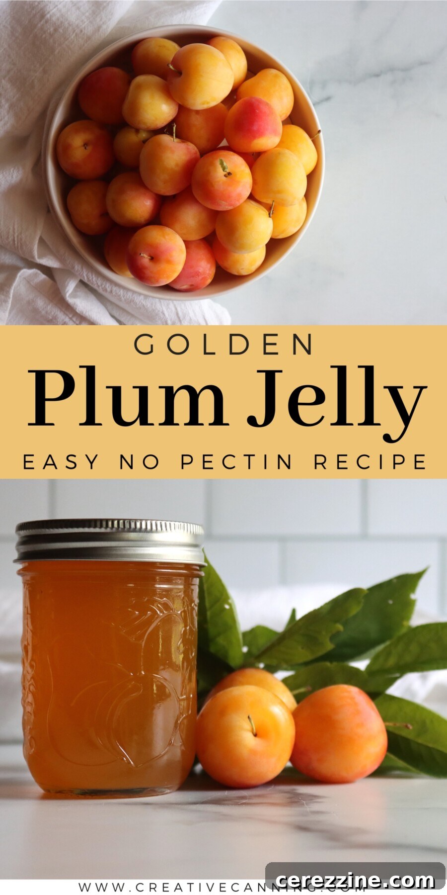 How to Make Yellow Plum Jelly: Sweet Homemade Preserves 16 Yellow Plum Jelly Recipe