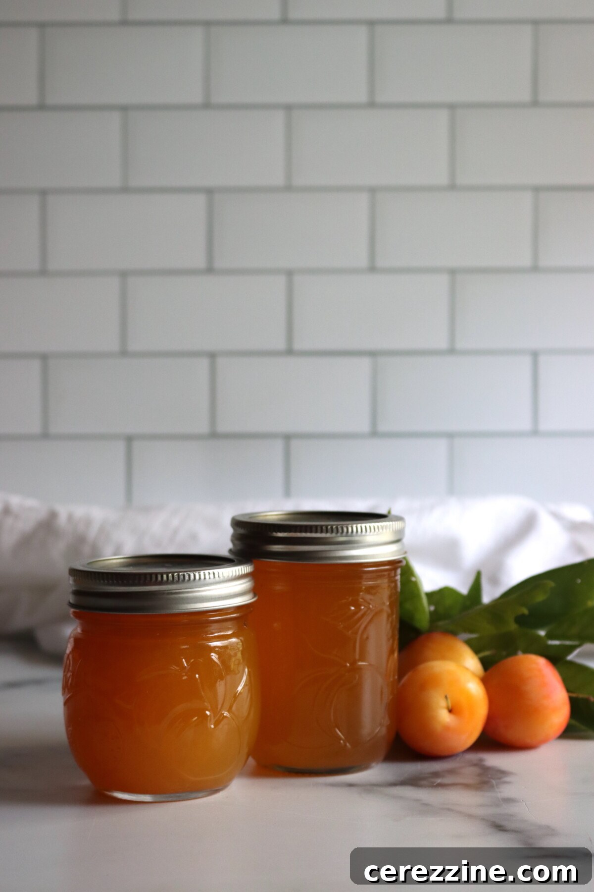 How to Make Yellow Plum Jelly: Sweet Homemade Preserves 8 Yellow Plum Jam and Jelly