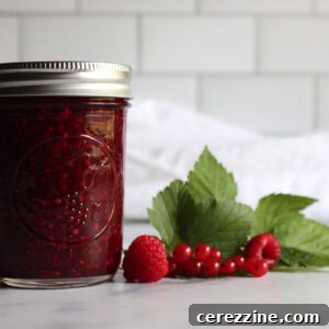 Raspberry Red Currant Jam