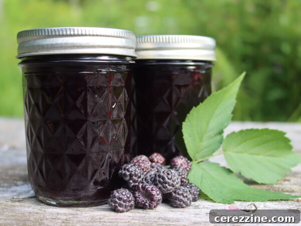 Black Raspberry Jelly