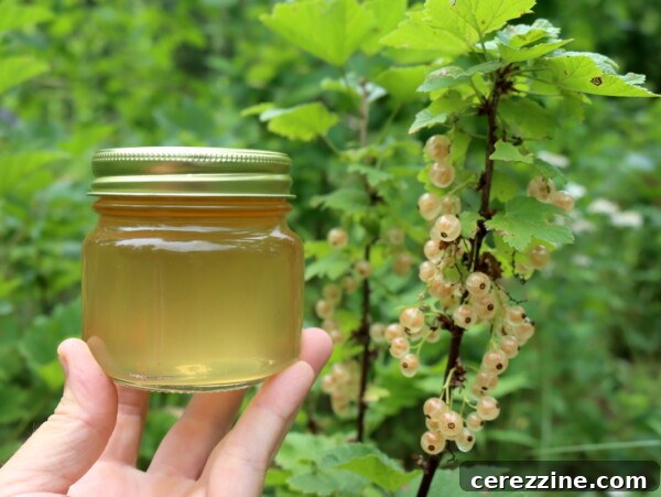 White Currant Jelly