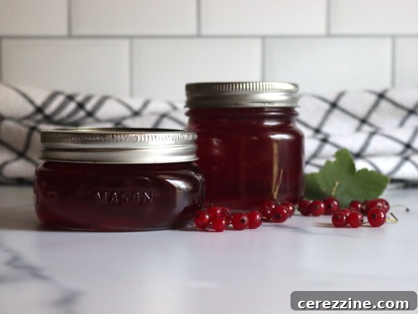 Red Currant Jelly