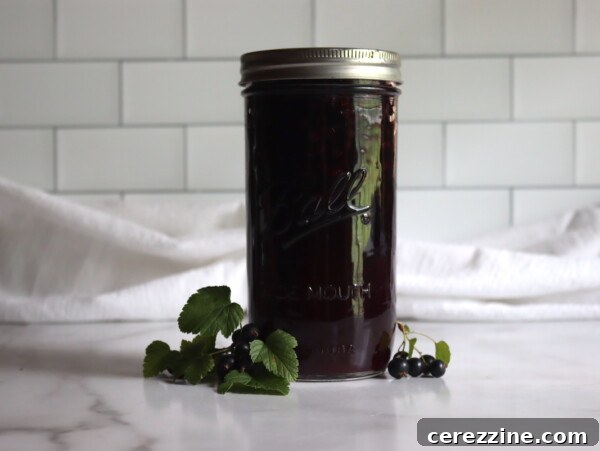 Canning Currant Pie Filling
