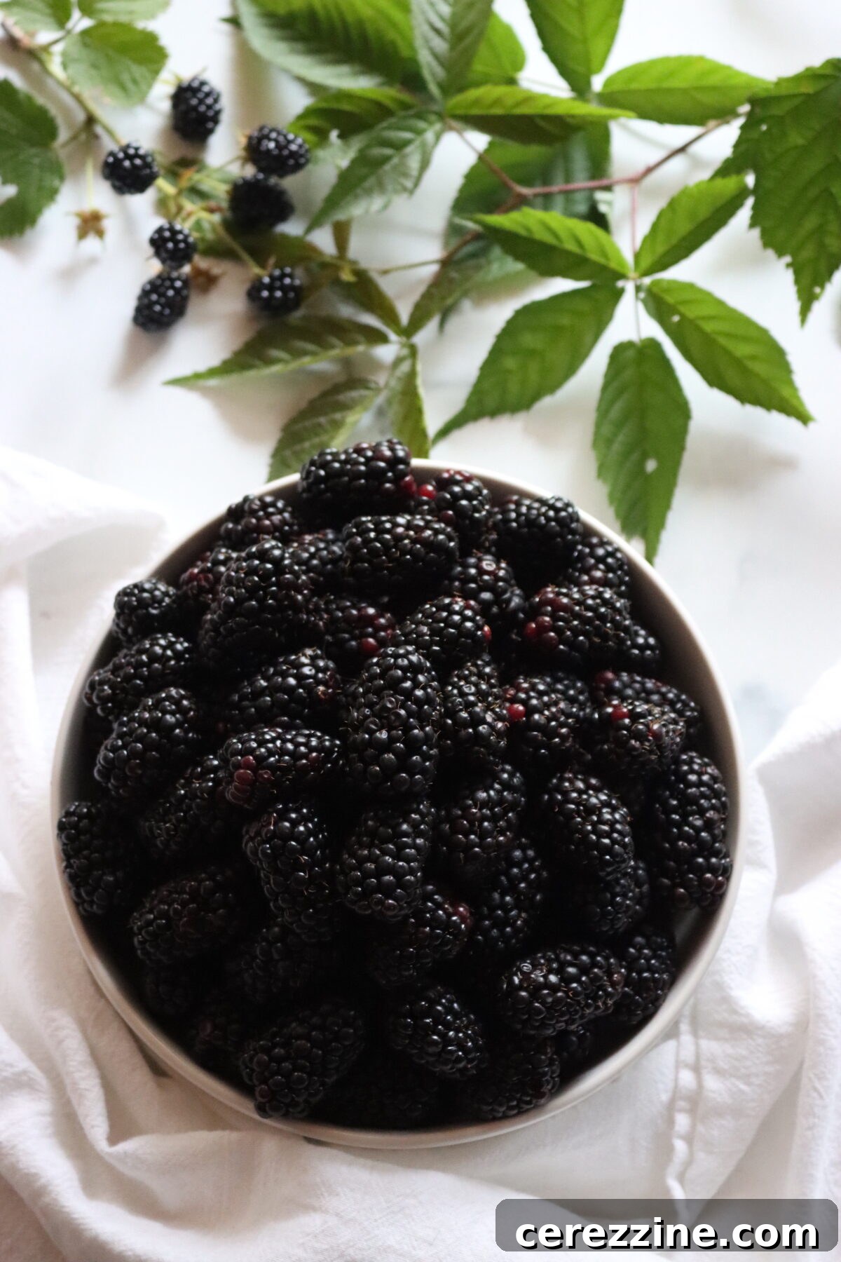 Homemade Blackberry Syrup Recipe for Pancakes & Desserts 3 Blackberries