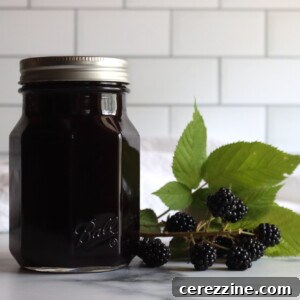 Homemade Blackberry Syrup Recipe for Pancakes & Desserts 9 Blackberry Syrup