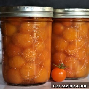 How to Can Cherry Tomatoes Safely at Home 10 Canning Cherry Tomatoes