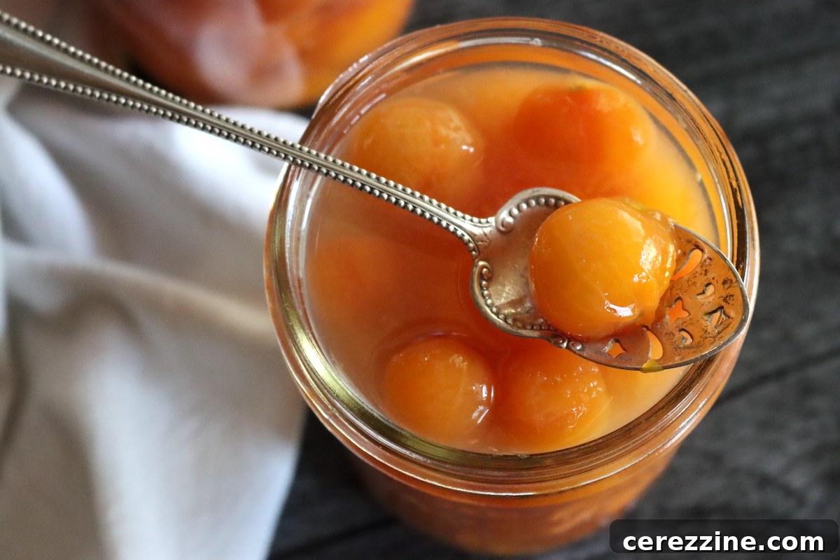 How to Can Cherry Tomatoes Safely at Home 8 Canning Cherry Tomatoes