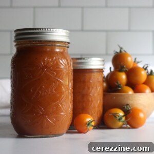 Roasted Cherry Tomato Pasta Sauce Recipe 10 Roasted Cherry Tomato Sauce