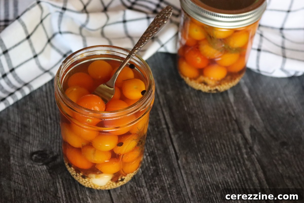 Dill Pickled Cherry Tomatoes