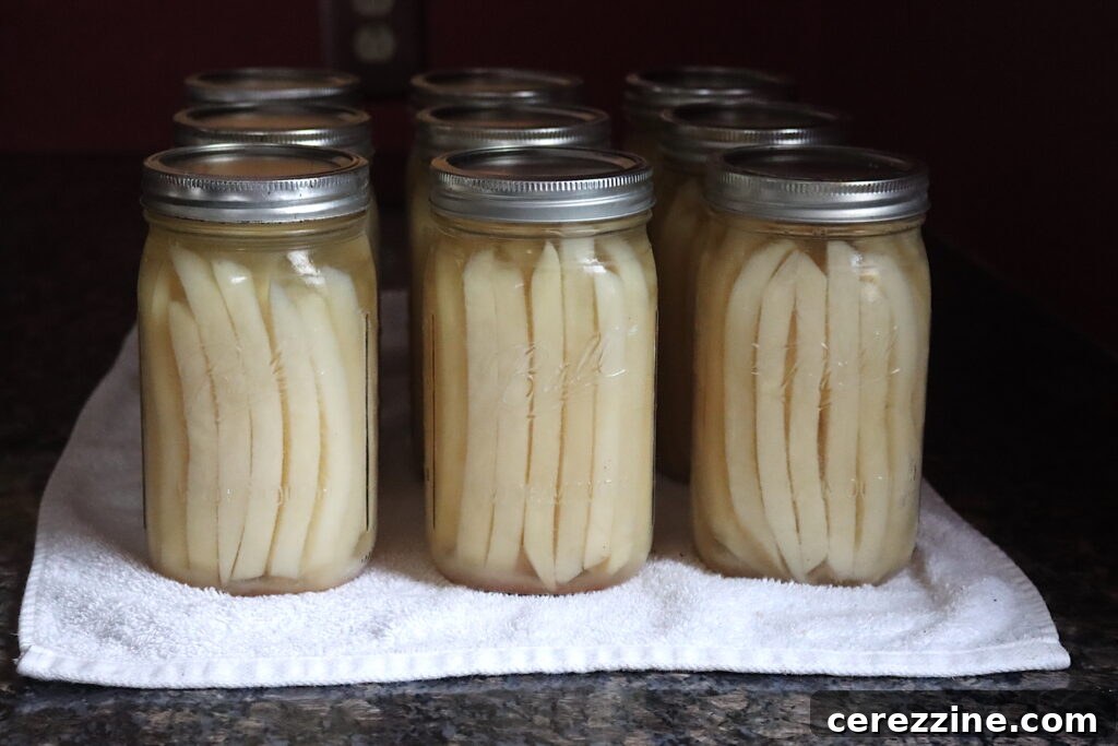 Over 30 Tasty Ways to Can Potatoes at Home 4 img 38348 3