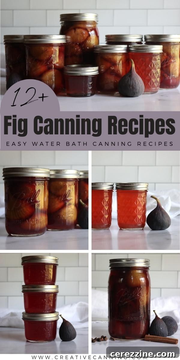 Fig canning recipes
