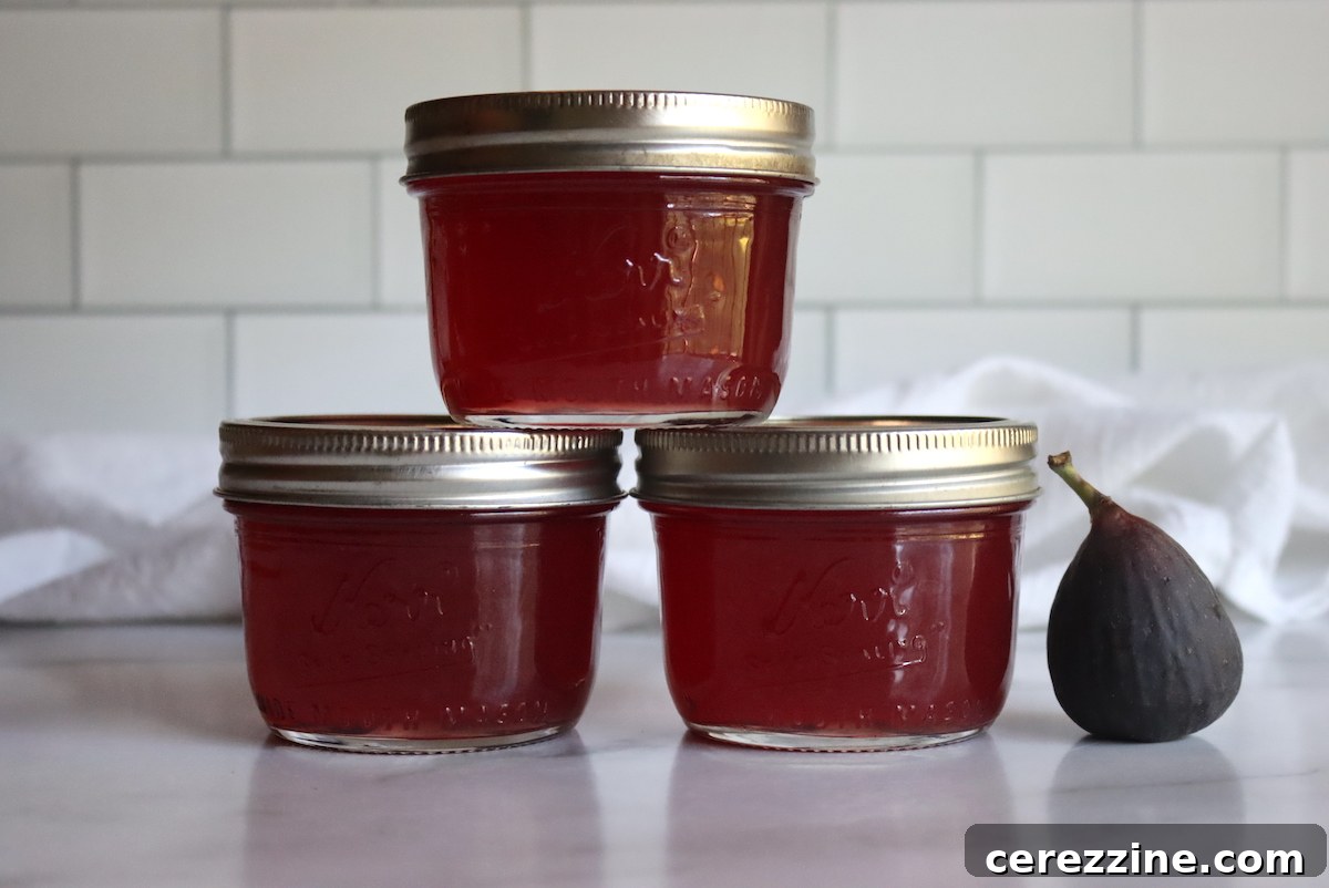Fig Jelly