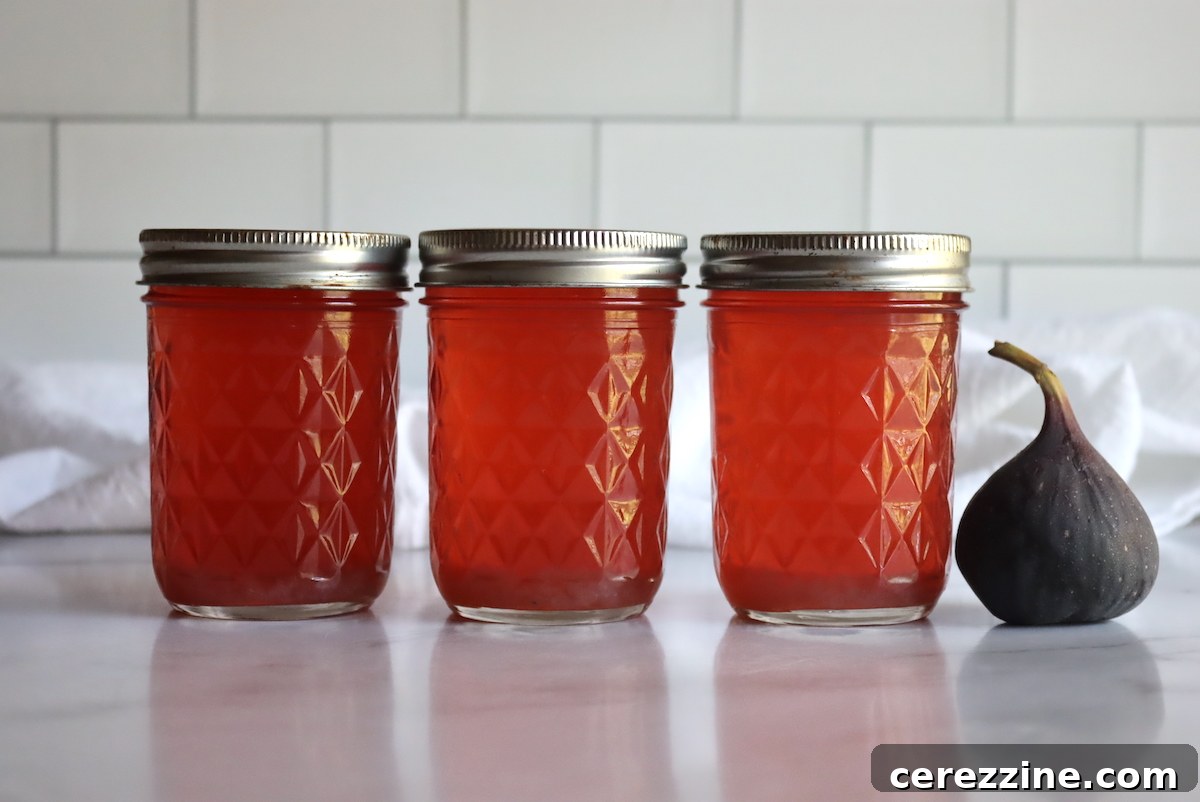 Fig Syrup