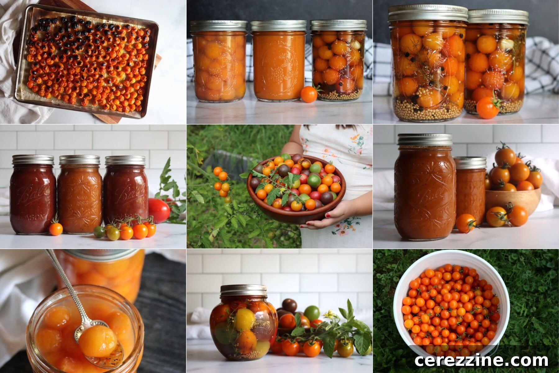 Cherry Tomato Canning Recipes