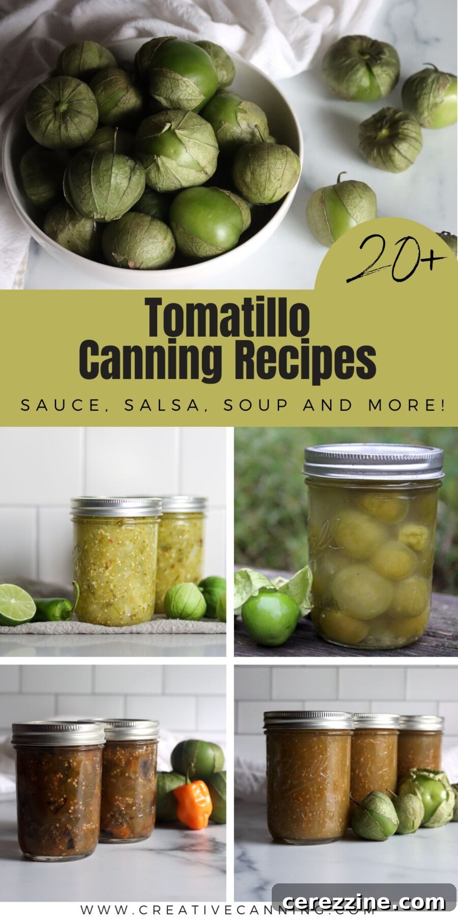 Tomatillo Canning Recipes List