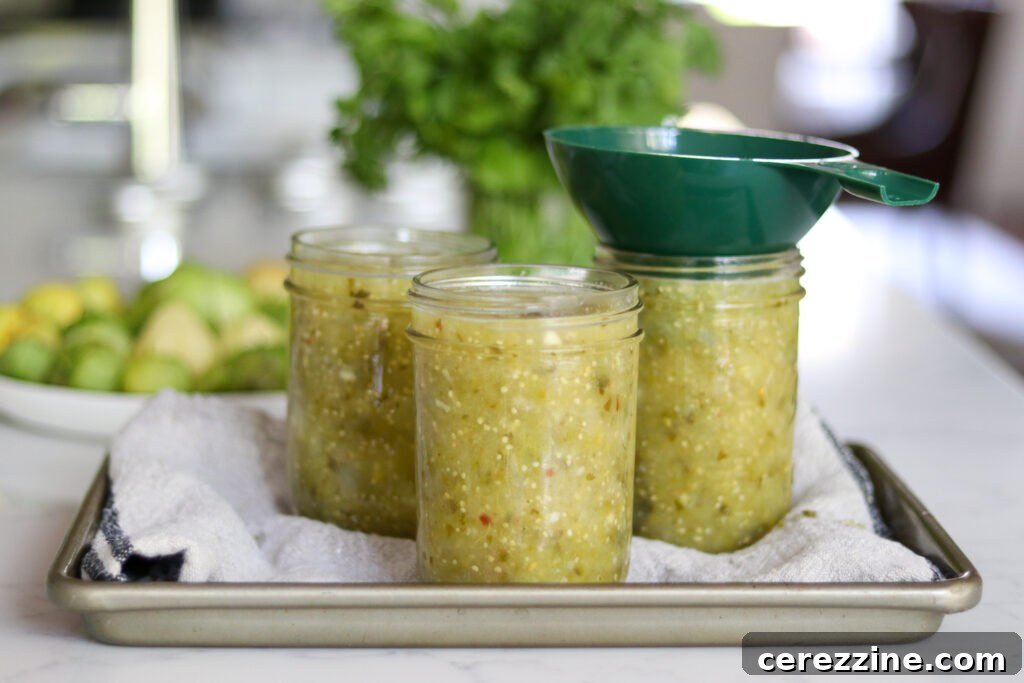 Making Tomatillo Salsa
