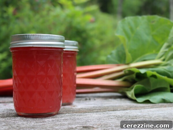 Canning Rhubarb Juice