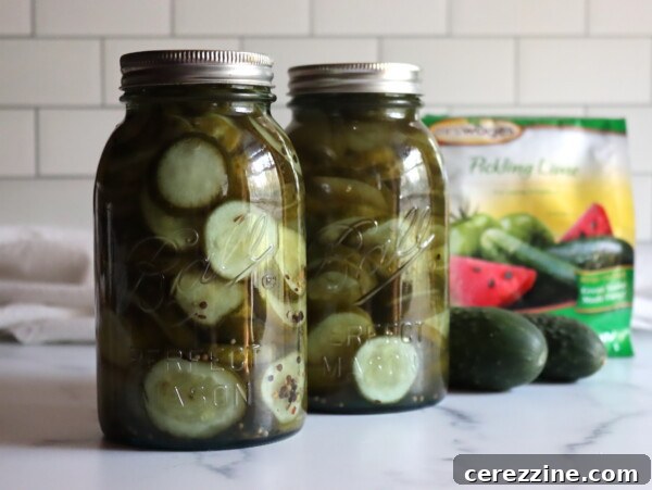 Homemade Sweet Dill Pickles Recipe 5 Lime Pickle Cucumber