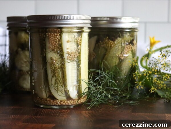 Homemade Sweet Dill Pickles Recipe 6 Dill Pickle Spears
