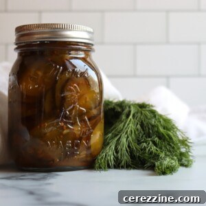 Homemade Sweet Dill Pickles Recipe 8 Sweet Dill Pickles