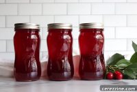 How to Can Cherry Juice at Home: Step-by-Step Guide