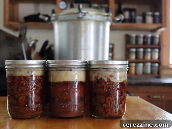 How to Can Meatballs in Tomato Juice Safely 13 Canning Hamburger
