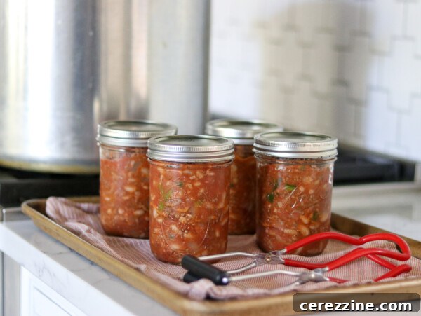How to Can Meatballs in Tomato Juice Safely 14 Pressure Canning Chili Con Carne