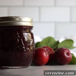 Plum Jam Recipe