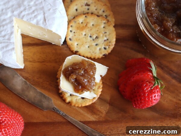 Caramelized Onion Jam