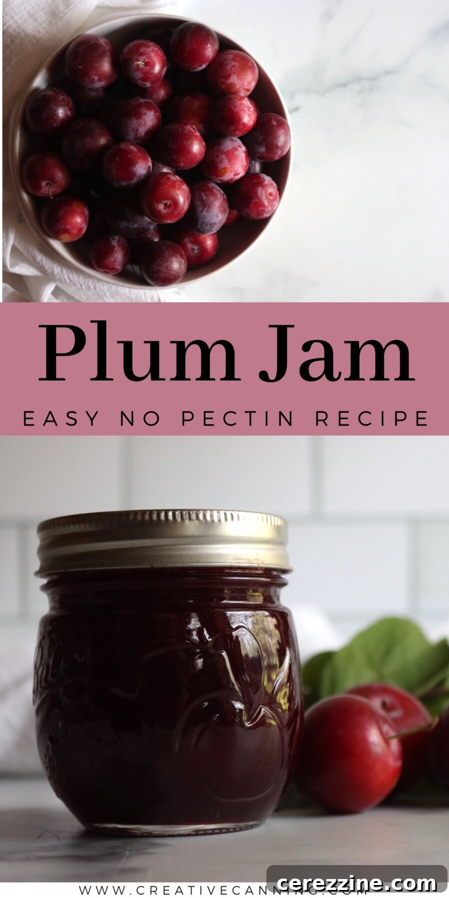 Classic Plum Jam Recipe