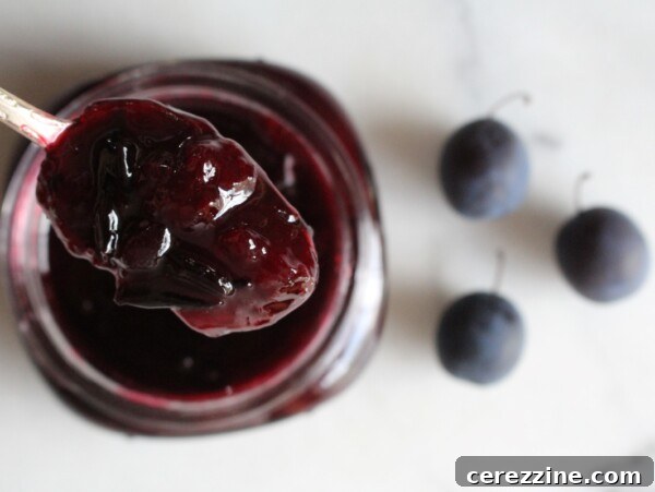 Damson jam