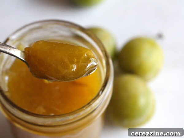 Greengage Jam