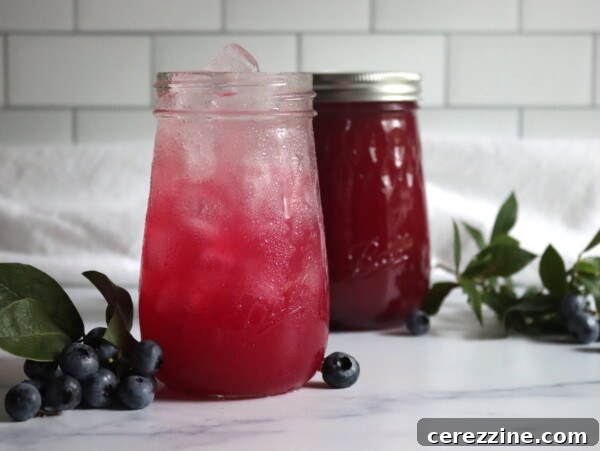 Blueberry Lemonade Concentrate