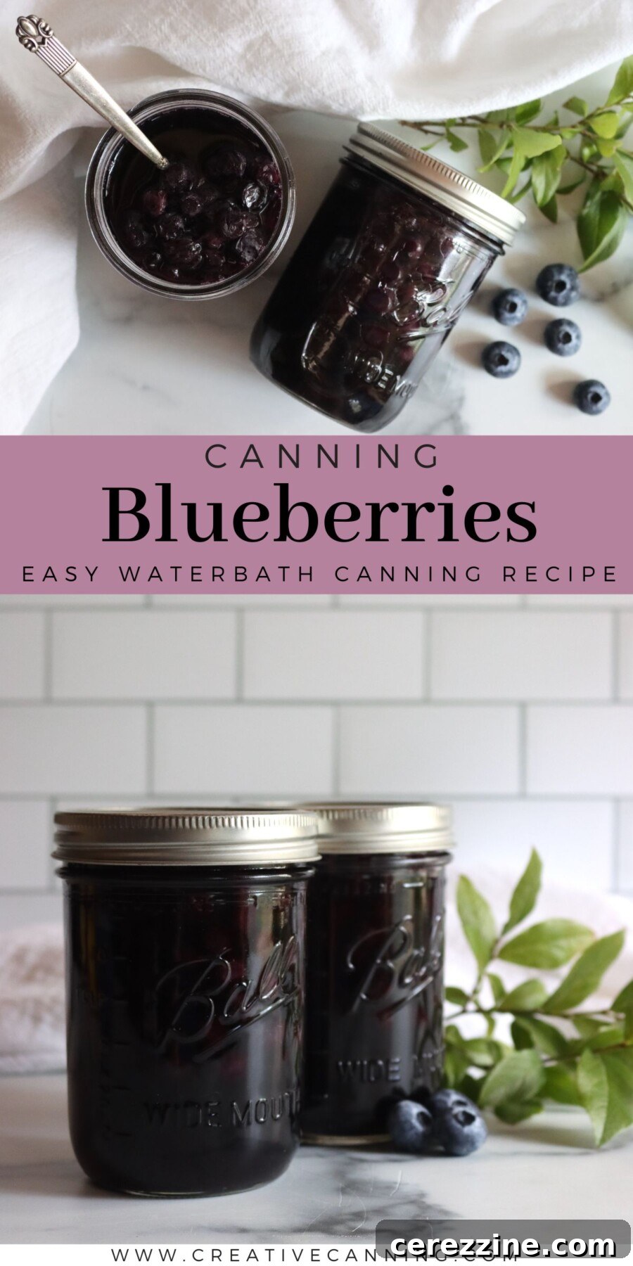 Canning Blueberries