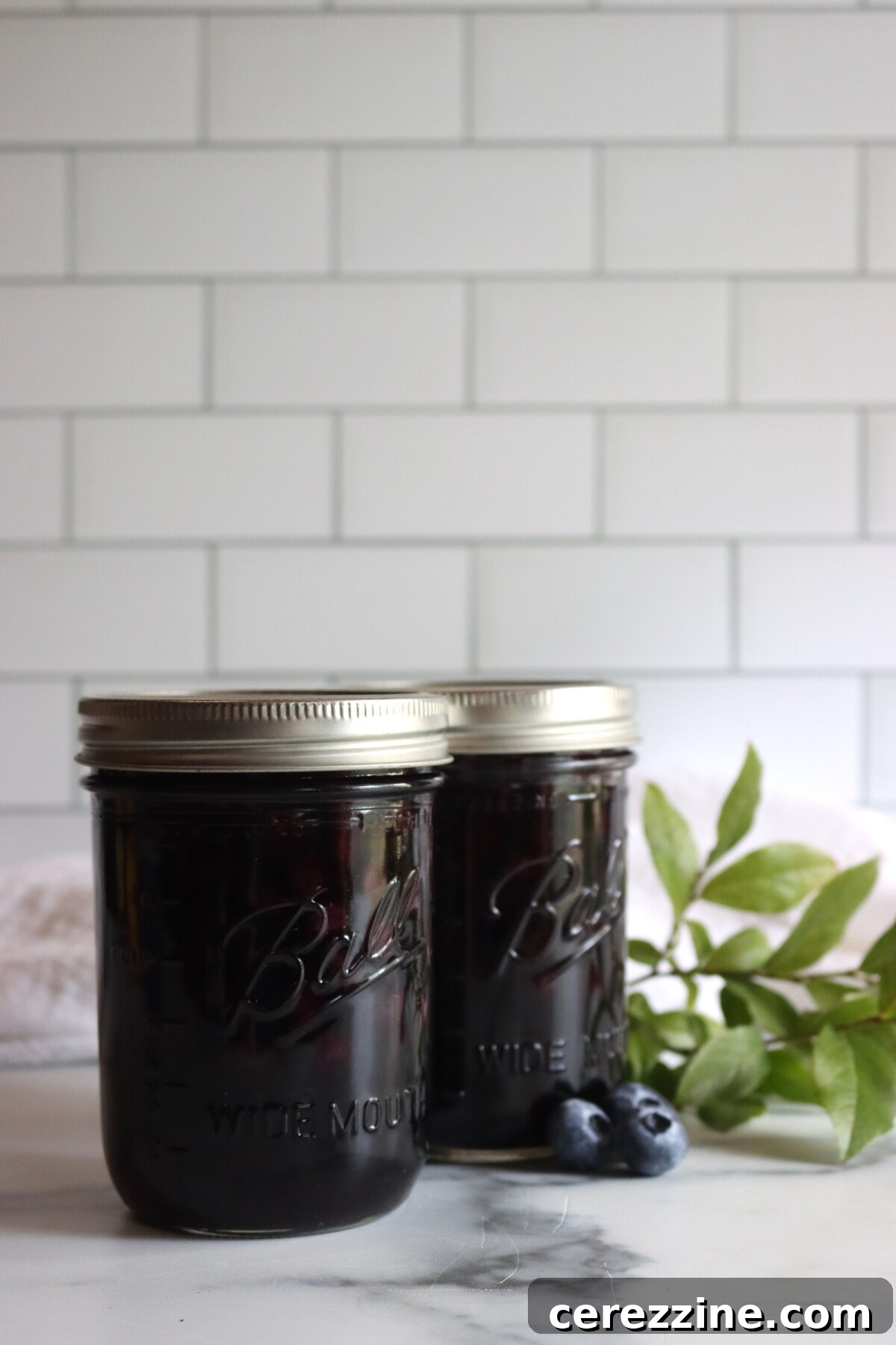 Canning Blueberries
