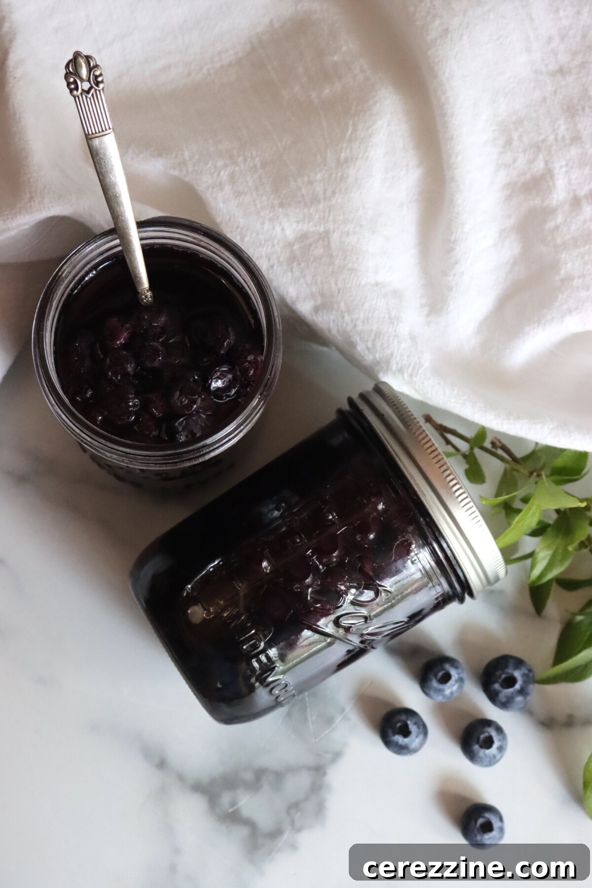 Canning Blueberries