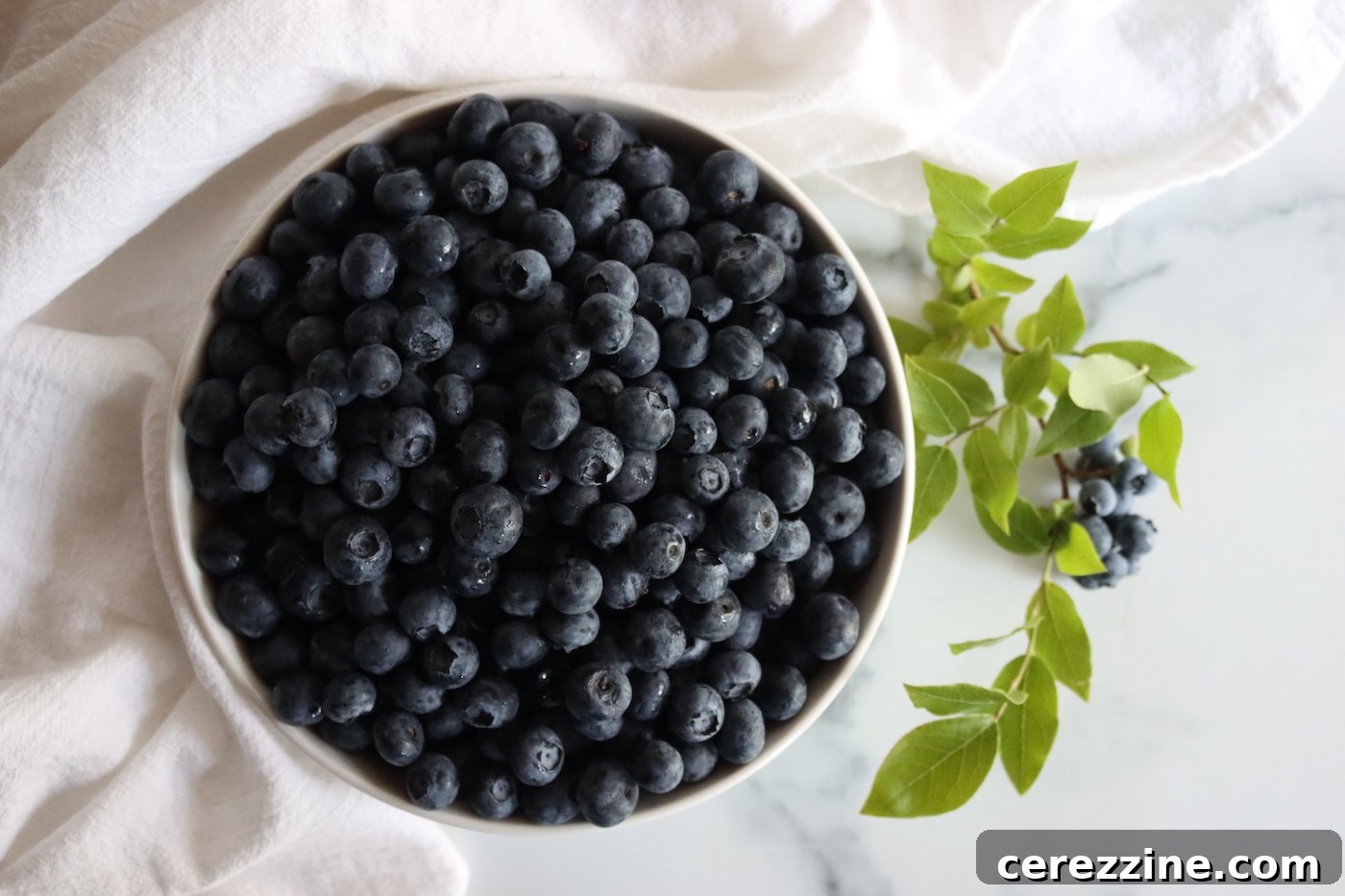Blueberries for Canning