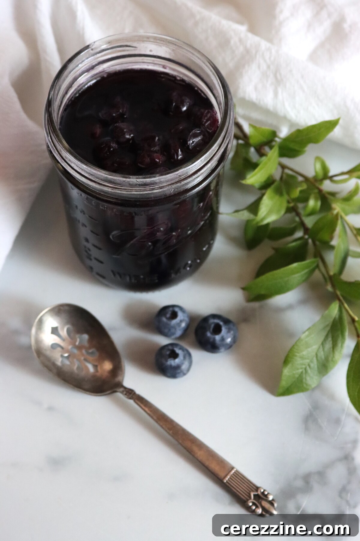 Canning Blueberries