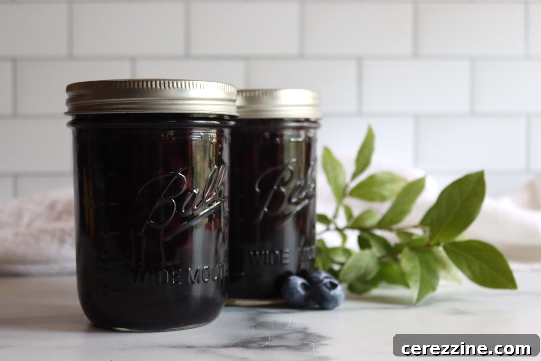 Canning Blueberries