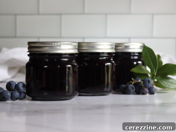Blueberry Jam