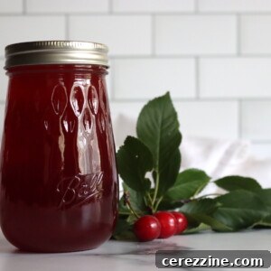 How to Make Cherry Lemonade Concentrate 10 Canning Cherry Lemonade Concentrate