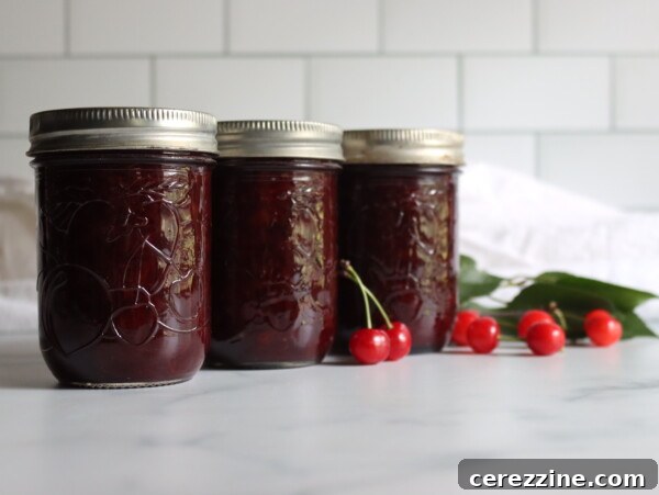 Sour Cherry Jam